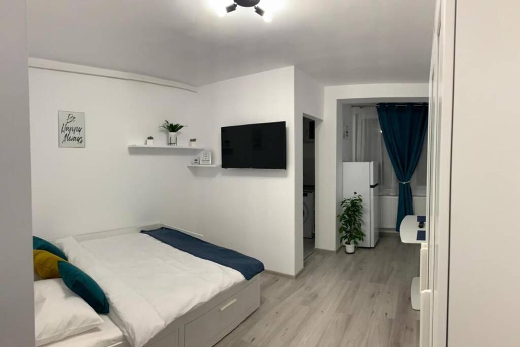 Cozy Studio Apartament Zalău Εξωτερικό φωτογραφία